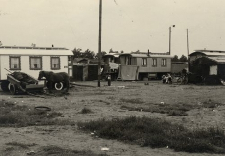 Woonwagenkamp aan de Scheidijk in Helmond in 1955. Fotograaf onbekend.